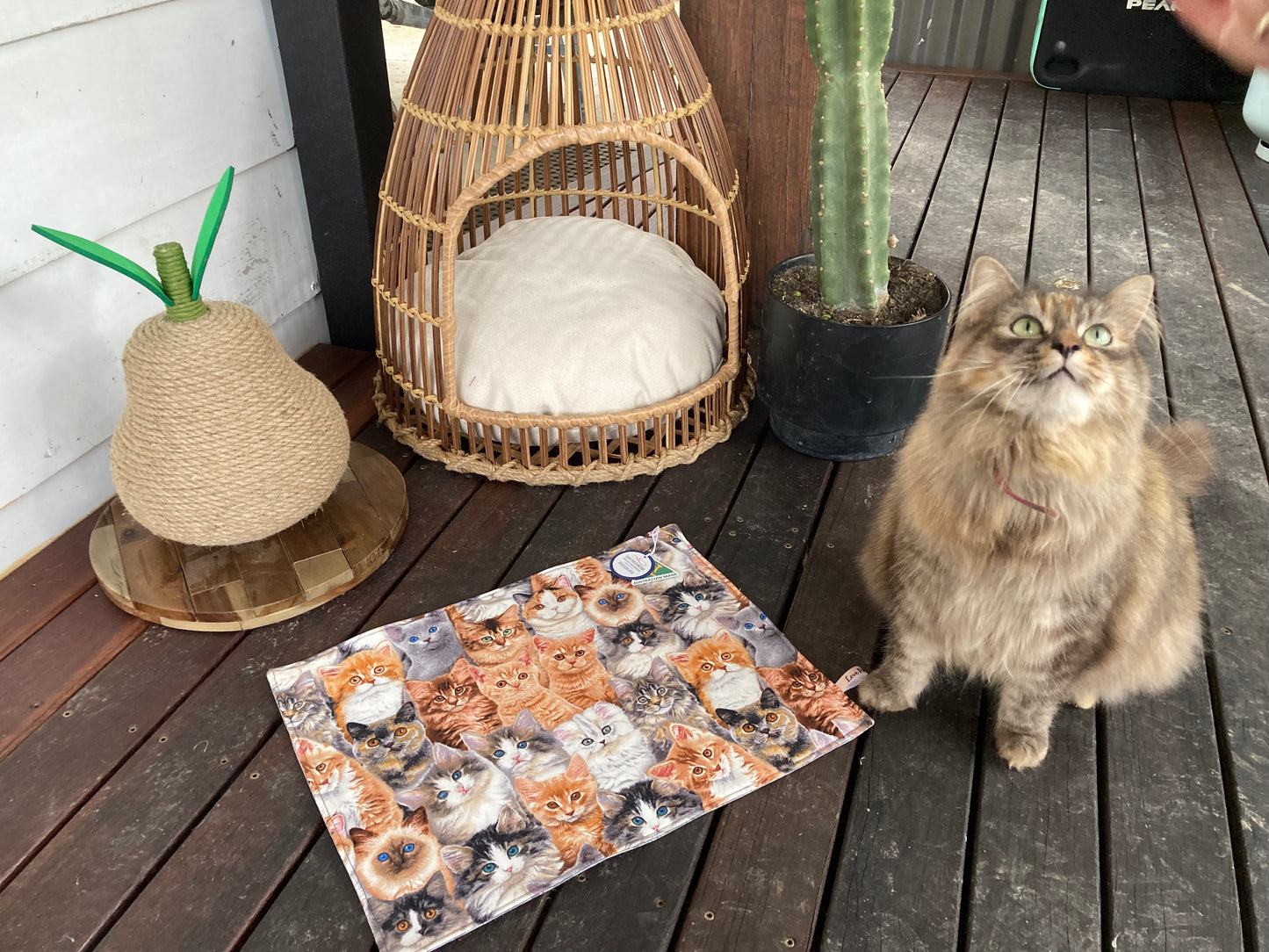 Pet Placemats - Cats (Set of 2)