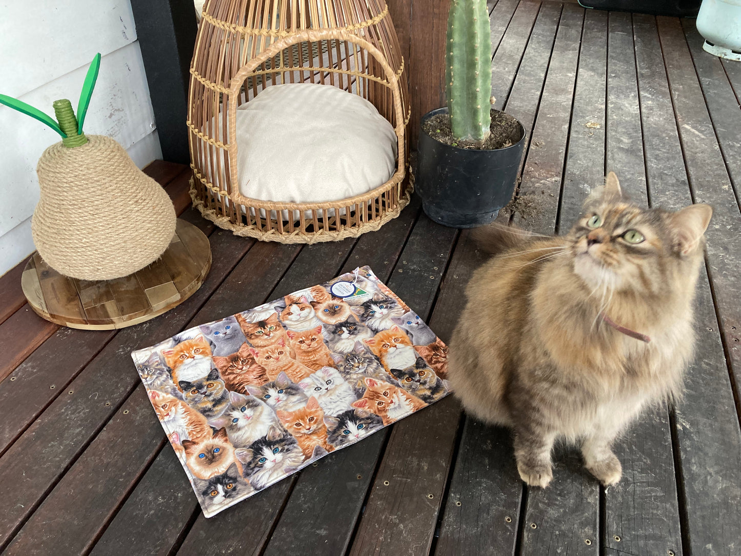 Pet Placemats - Cats (Set of 2)