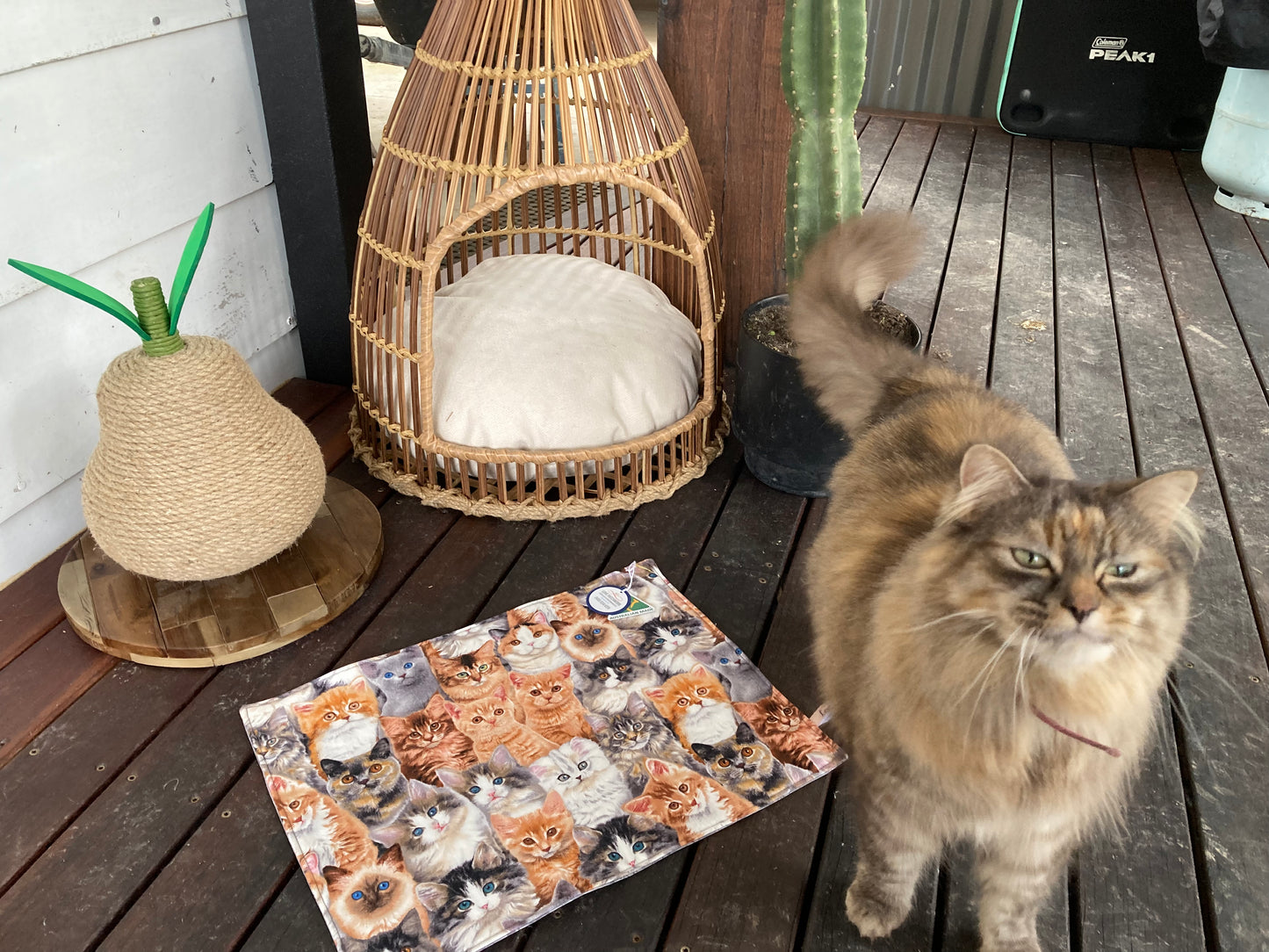 Pet Placemats - Cats (Set of 2)
