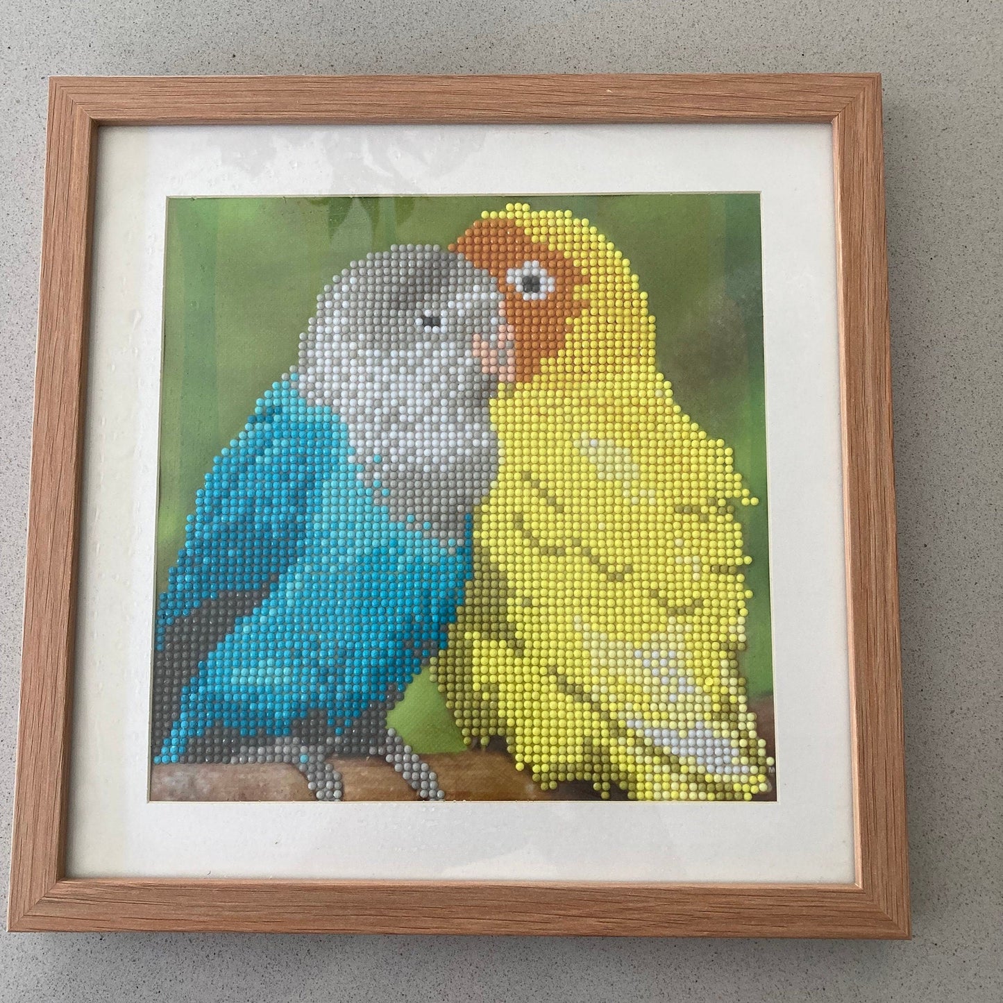 Framed Diamond Art Parrots Wall Decor