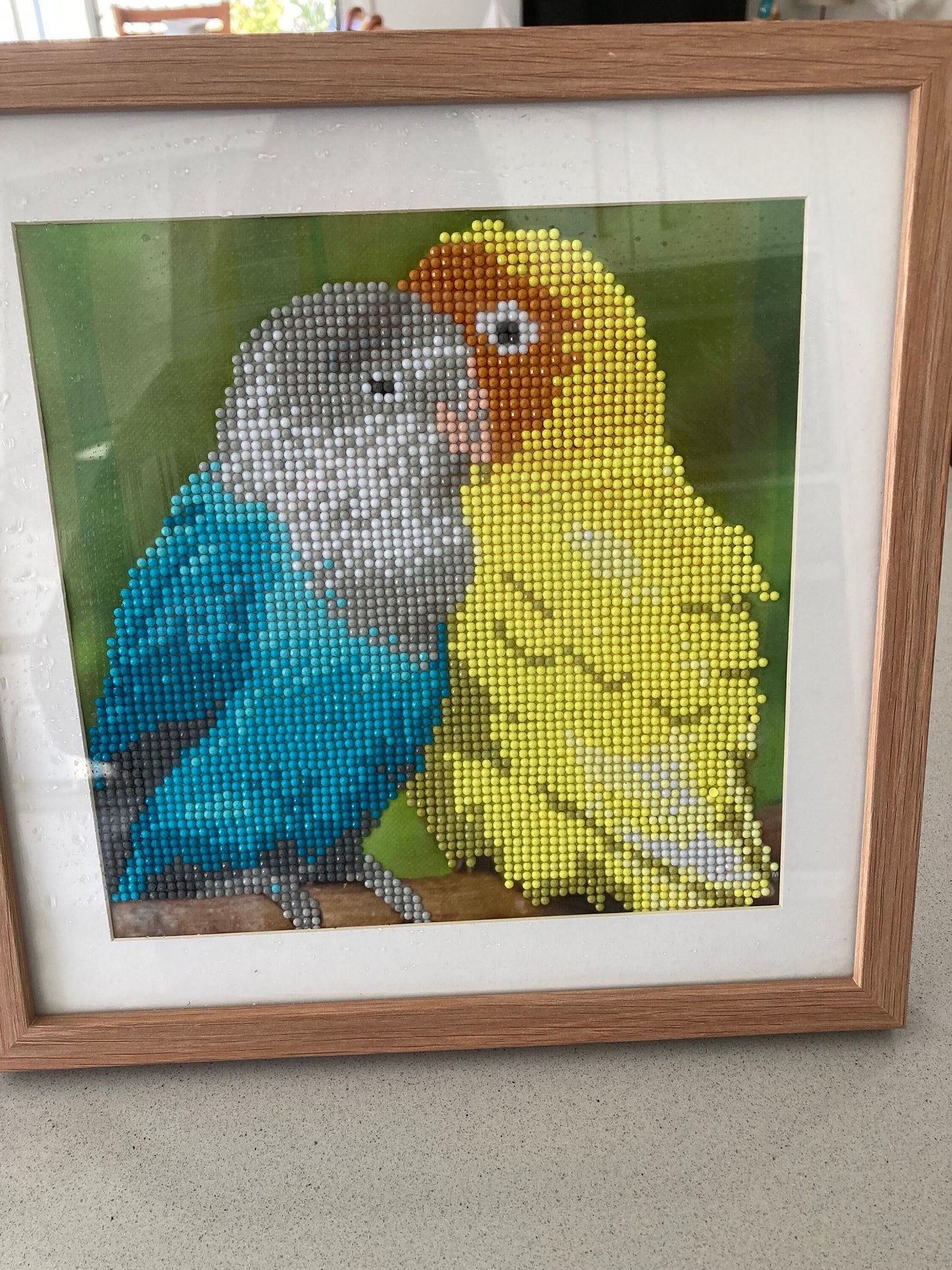 Framed Diamond Art Parrots Wall Decor