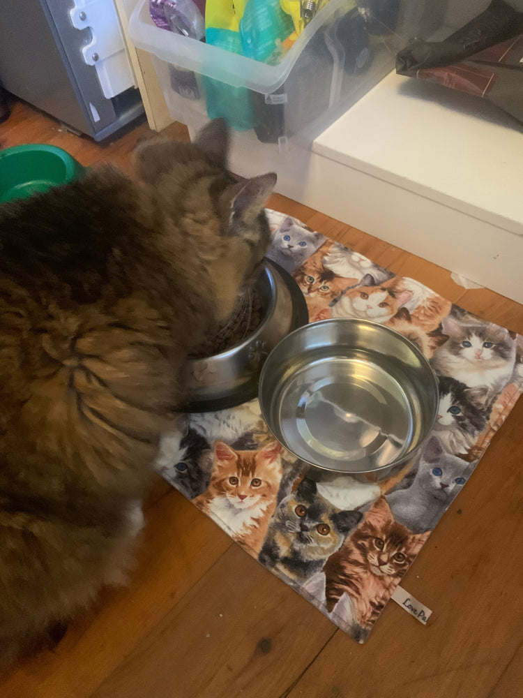 Reversible pet placemats for cats and dogs protecting floor from food bowls - Australian made quilted cotton