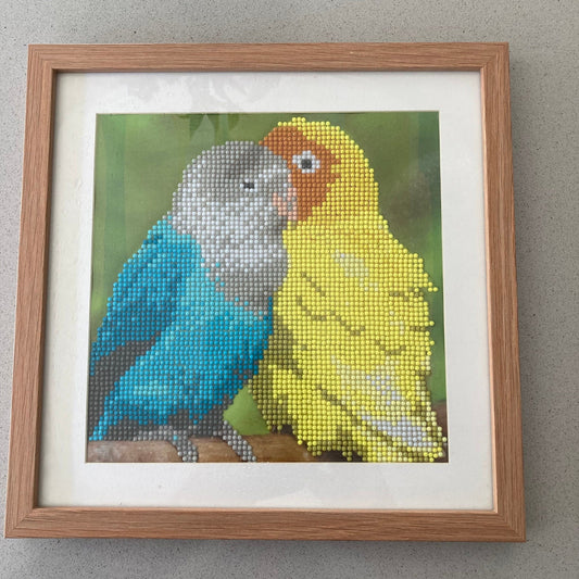 Framed Diamond Art Parrots Wall Decor